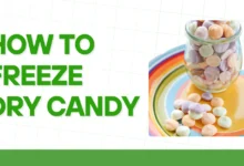 How to Make Freeze-Dried Candy