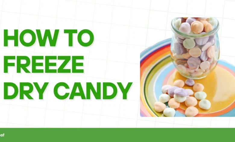 How to Make Freeze-Dried Candy